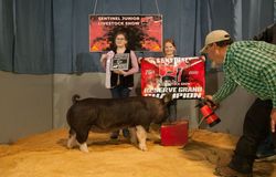 Reserve Grand Overall