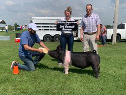 Champion Hamp - 3rd Overall Barrow