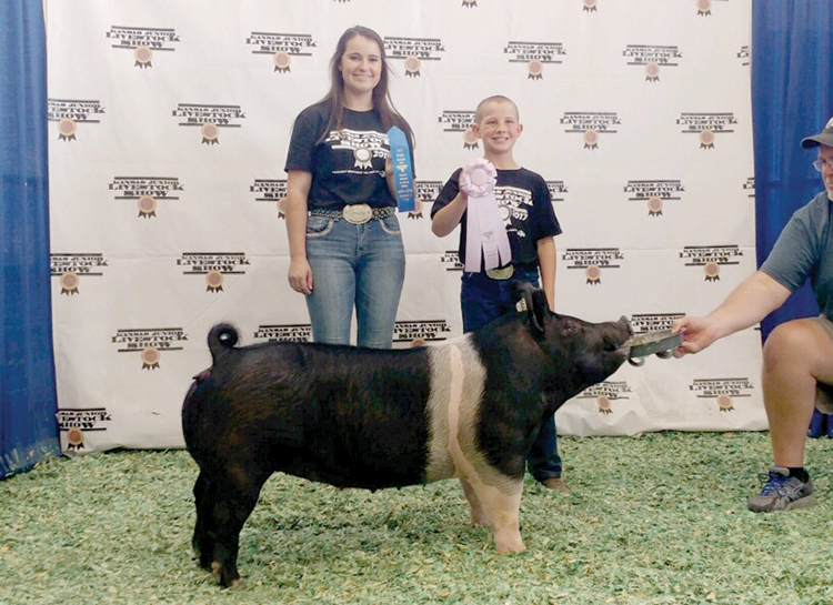 2017 Reserve Champion Hampshire Gilt