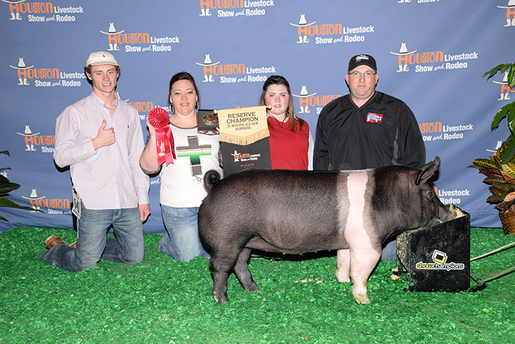 Reserve Champion Junior Breeding Gilt Hampshire