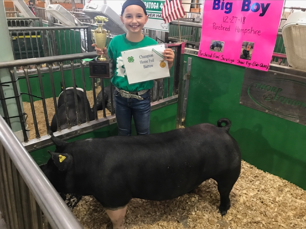 Champion Hamp - Overall Grand