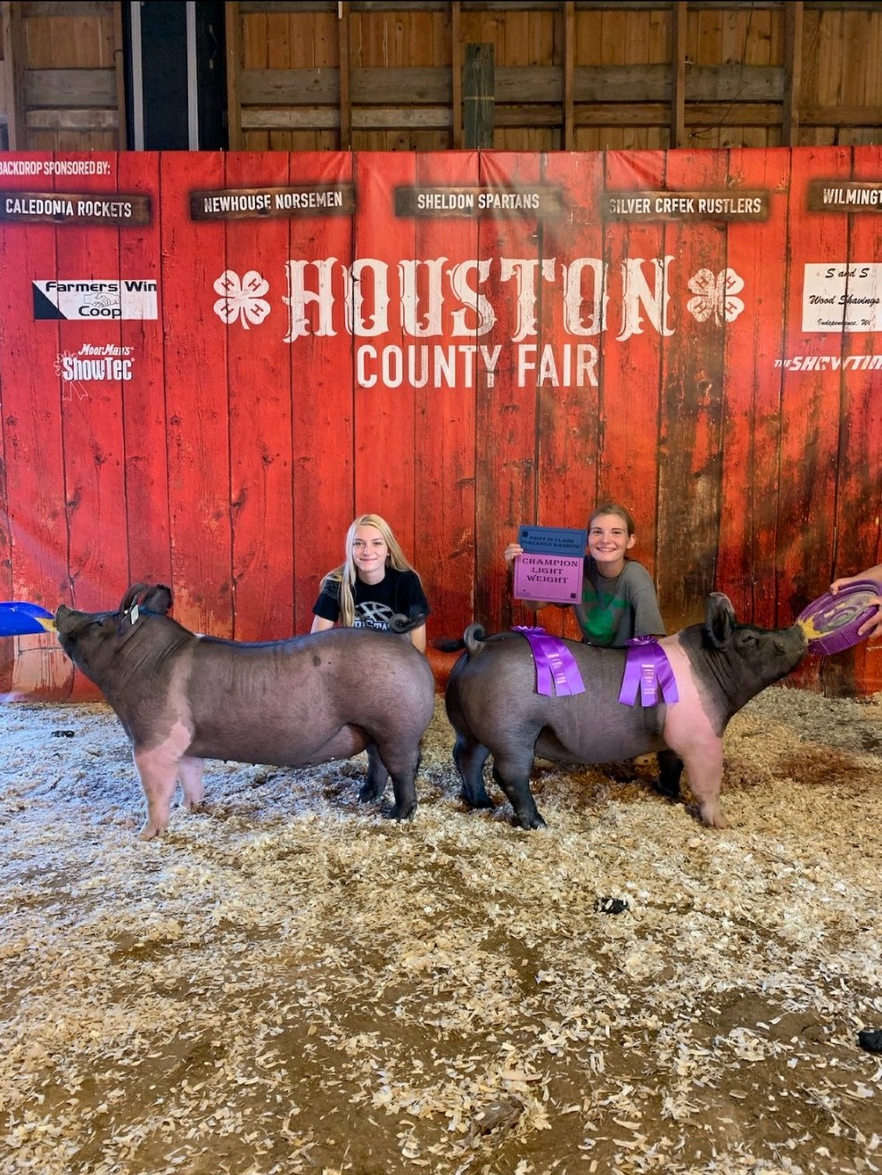 Champion & 3rd Light Purebred Barrows